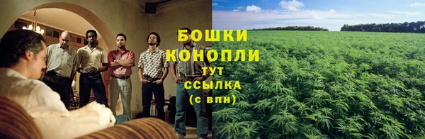 гидропоника Арсеньев