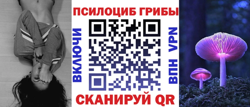 Псилоцибиновые грибы Cubensis  MEGA ссылки  Кирово-Чепецк 
