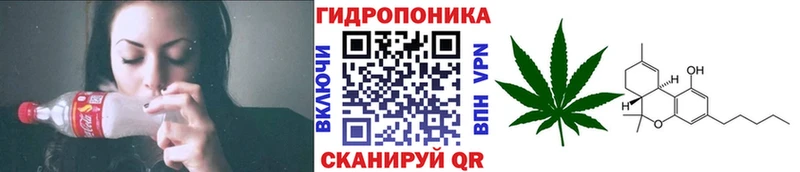Канабис конопля MEGA tor Кирово-Чепецк